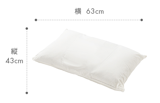 快眠枕 LT-050（低反発炭パイプ）