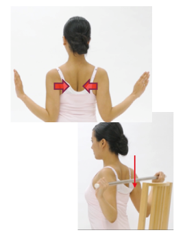 菱形筋エクササイズ肩甲骨位置のキープ